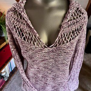 Express | Variegated Pink Sweater with Hood